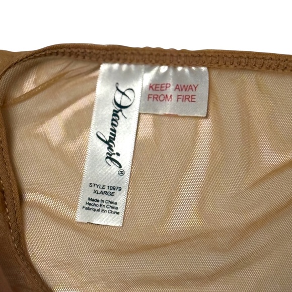 DREAMGIRL Sheer Mesh with Metallic & Satin Thread Floral Embroidered Lingerie - Picture 3 of 6